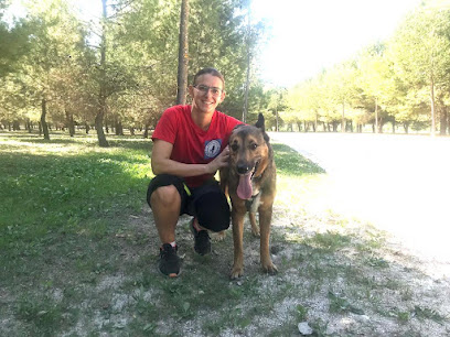 Vida y Perros | Adiestradores de perros en Villaverde