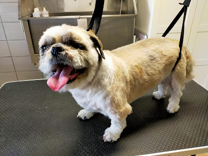 Doggrooming Sandra | Peluqueria para perros en La Nucía