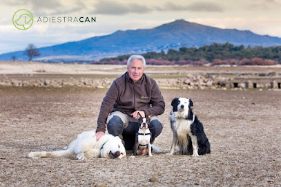 Adiestracan | Adiestradores de perros en Madrid