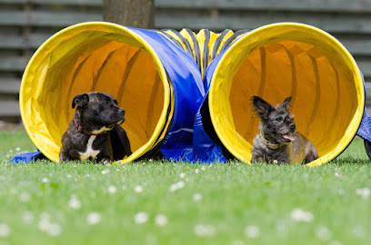Zurbano | Adiestradores de perros en Zurbano