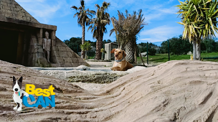 Bestcan | Guardería para perros en Cenicientos