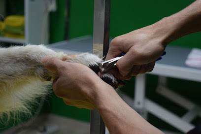 Girlei Ferreira | Peluqueria para perros en Esparreguera