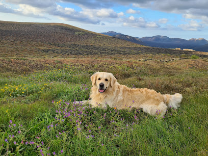 Casa Margarita | Guardería para perros en Tias