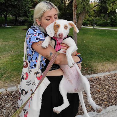 Guarderia Peluda | Guardería para perros en Madrid