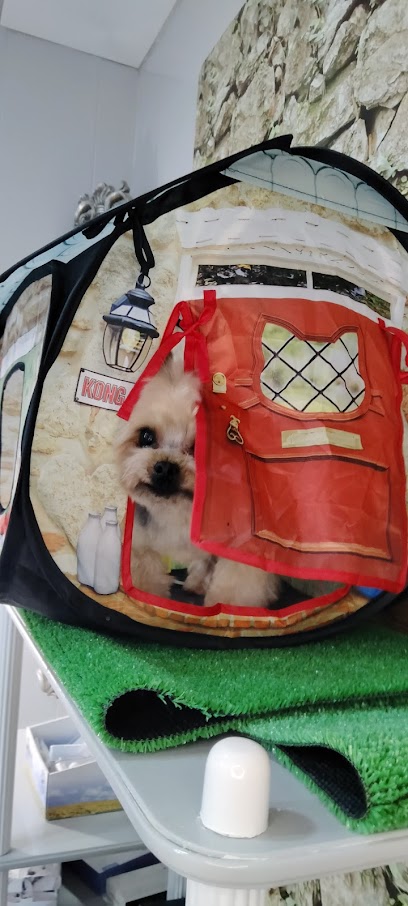 Perrunillas y Gatunillas | Peluqueria para perros en Cáceres
