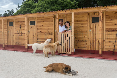 La Cabana de la Zarpa | Guardería para perros en Oza-Cesuras