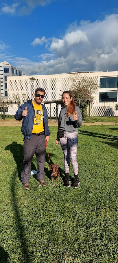 Adiestra Kanino | Adiestradores de perros en Sevilla