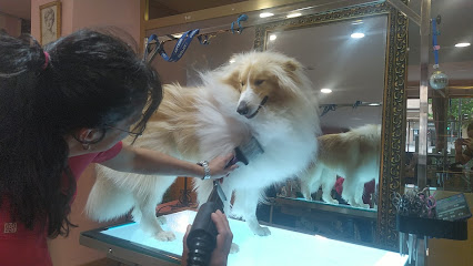 Urban Dogs | Peluqueria para perros en Salamanca