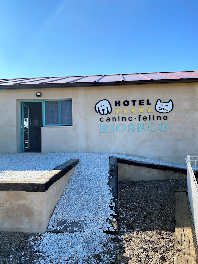 Rioseco | Guardería para perros en Palazuelo de Vedija