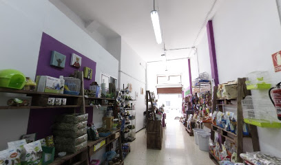 Animalarium | Peluqueria para perros en Santa Cruz de Tenerife