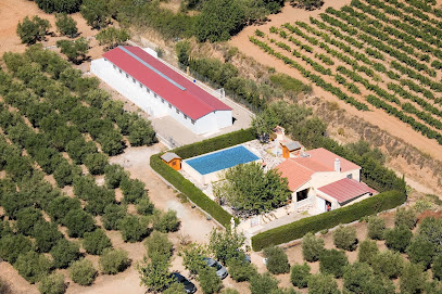 Cotonlier | Guardería para perros en Montbrio del Camp