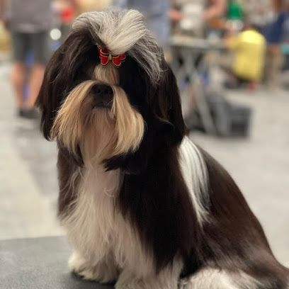Jaime Rivera | Peluqueria para perros en Villares de la Reina