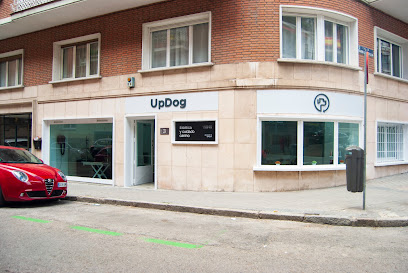 UpDog | Guardería para perros en Madrid