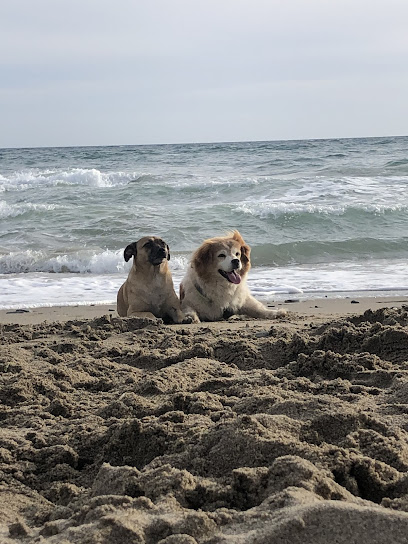 Perros Felic.es | Casabermeja