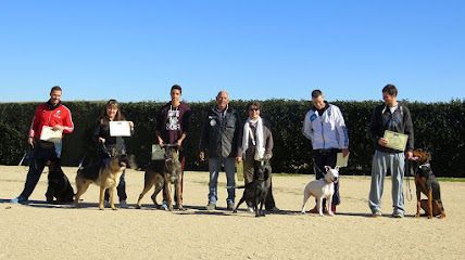 Grupo Bravel | Adiestradores de perros en Humanes