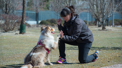 Perruneando | Adiestradores de perros en Boadilla del Monte