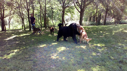 Kanoteka | Guardería para perros en Barrika