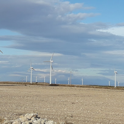 Angel Mercado | Guardería para perros en La Muela