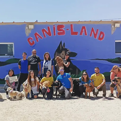 Canis Land | Murcia
