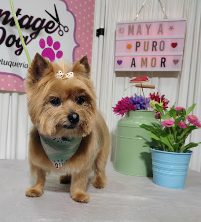 Vintage Dog | Peluqueria para perros en Moncada y Reixach