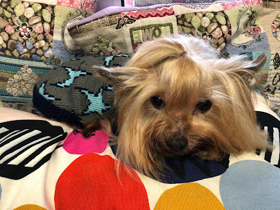 Mascotas Beymar | Peluqueria para perros en Dos Hermanas