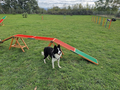 Alohadogs Sierra Norte Madrid | Guardería para perros en Gascones