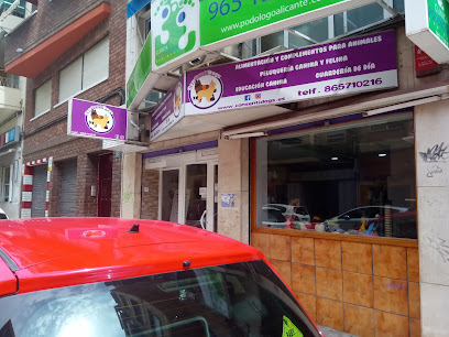 Consentidogs | Peluqueria para perros en Alicante