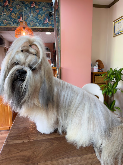 Centro Estético Canino Alba Lara | Peluqueria para perros en Sanlúcar de Barrameda