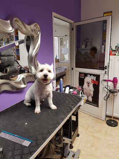Caesar’S Palace | Peluqueria para perros en San Bartolomé de Tirajana