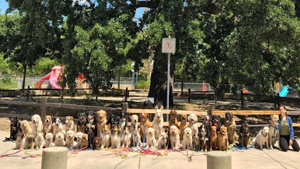 Maria | Adiestradores de perros en Pamplona