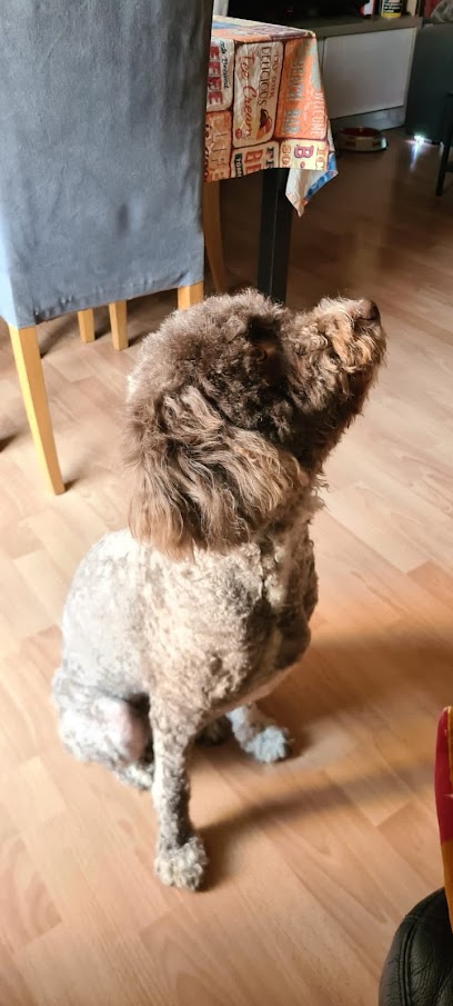 Chantal | Peluqueria para perros en L
