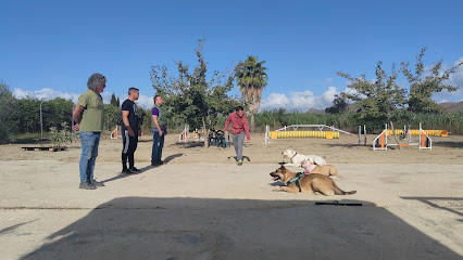 Akindi Malaga | Adiestradores de perros en Vega Riaran