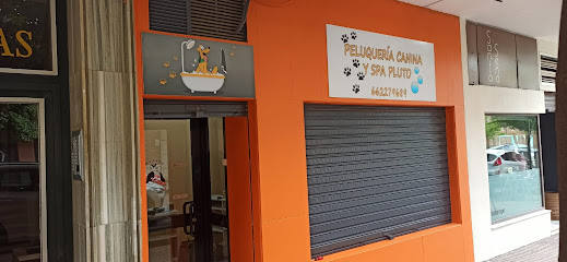 Pluto | Peluqueria para perros en Córdoba