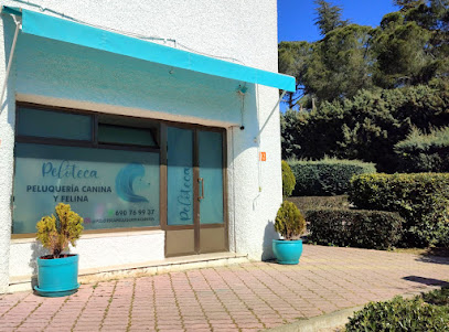 Peloteca | Peluqueria para perros en Boadilla del Monte