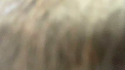 Runa | Peluqueria para perros en Toledo