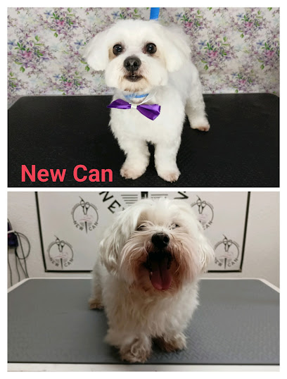 New Can | Peluqueria para perros en Móstoles