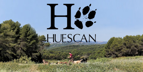Huescan | Adiestradores de perros en Valldoreix
