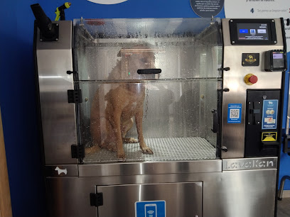 Lavakan | Spa Para Mascotas | Peluqueria para perros en Salamanca