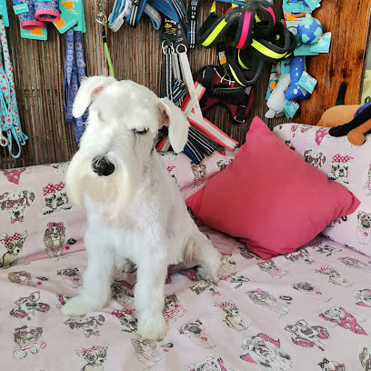 La Perruquería Gc | Peluqueria para perros en San Bartolomé de Tirajana