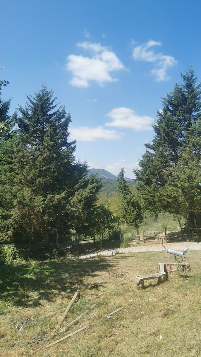 Indartxu | Guardería para perros en Altube