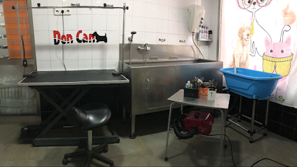 Doncan | Peluqueria para perros en Benifayó