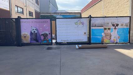 MiMascota | Guardería para perros en Cuenca