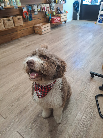 Nanuki | Peluqueria para perros en Madrid
