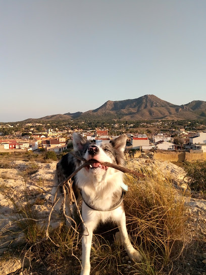 Parras | Guardería para perros en Cartagena