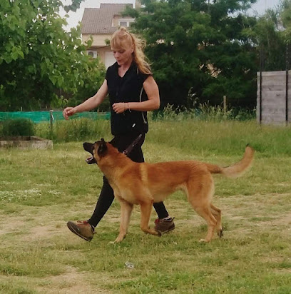 Etocan | Adiestradores de perros en Riells i Viabrea