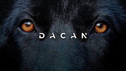 Dacan | Adiestradores de perros en Las Rozas de Madrid
