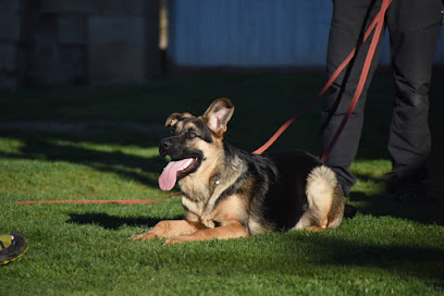 Ferkan | Adiestradores de perros en Villanueva de Jamuz
