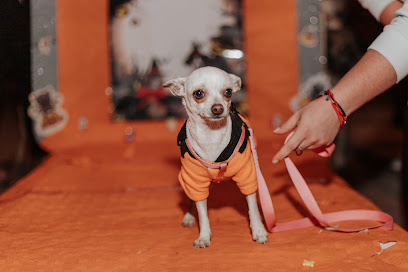 Ana García | Peluqueria para perros en Chauchina