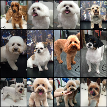 Sos Pelines | Peluqueria para perros en La Coruña