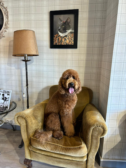 Clàudia Caballero | Peluqueria para perros en Begur